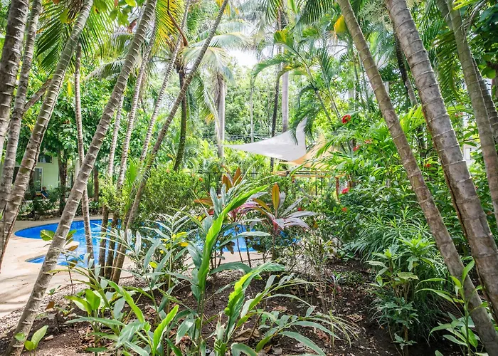 Rick's Place Nosara